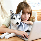 Cuddly realistic husky plush toy in cozy home lifestyle, soft lifelike Siberian husky stuffed dog as work and relaxation companion, perfect plush toy for dog lovers
