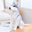 Lifelike siberian husky plush toy in sitting pose on wooden table, realistic stuffed husky dog with soft fluffy fur, cute plush animal toy for living room and bedroom decor