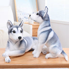 Realistic Siberian husky plush toy in lying pose, lifelike stuffed husky dog with soft plush fabric, cuddly dog plush toy for sofa decor and kids sleeping companion